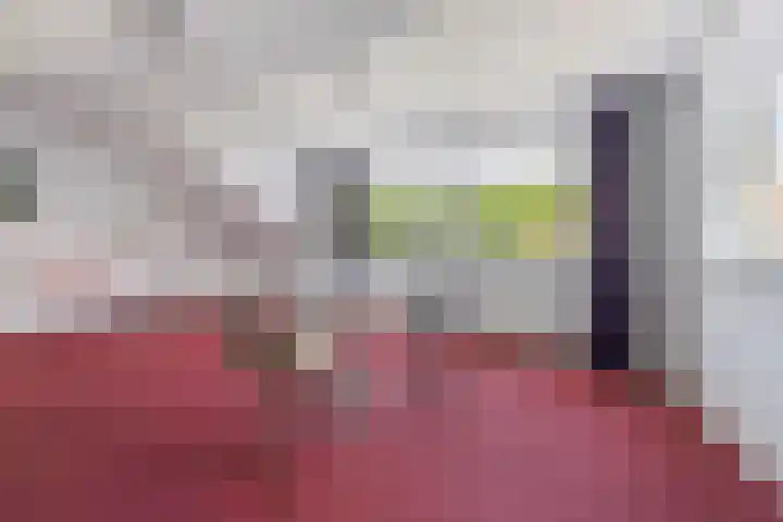 Aetsveldselaan 13 b Weesp thumbnail 29