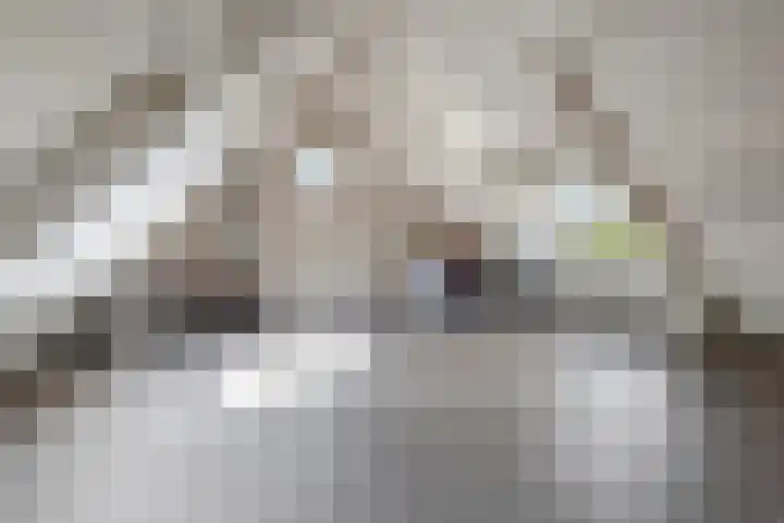 Aetsveldselaan 13 b Weesp thumbnail 31