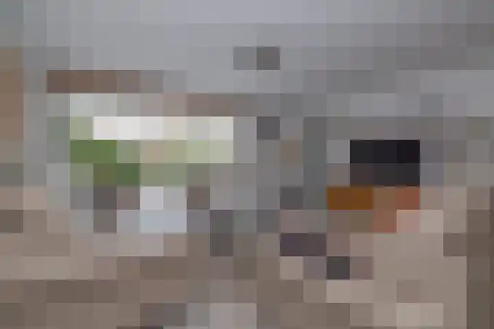 Aetsveldselaan 21 Weesp thumbnail 6