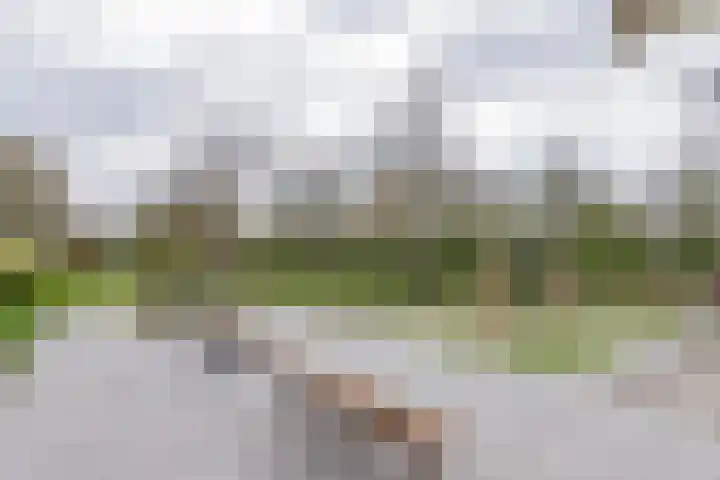 Aetsveldselaan 38 Weesp thumbnail 34