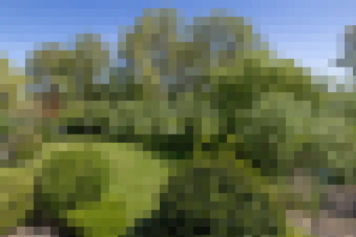 Aetsveldseweg 3 b Weesp thumbnail 33