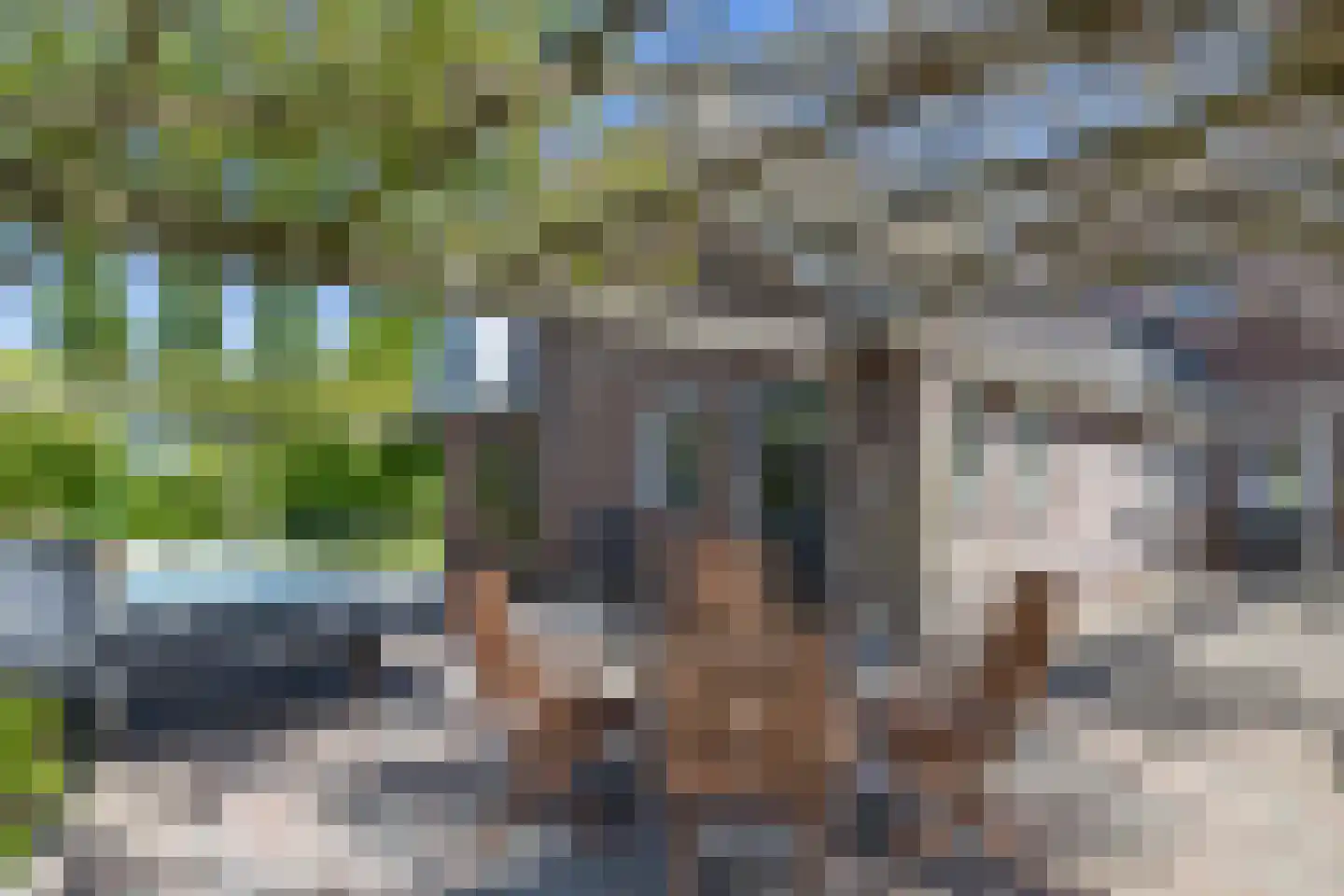 Aetsveldseweg 3 b Weesp thumbnail 47