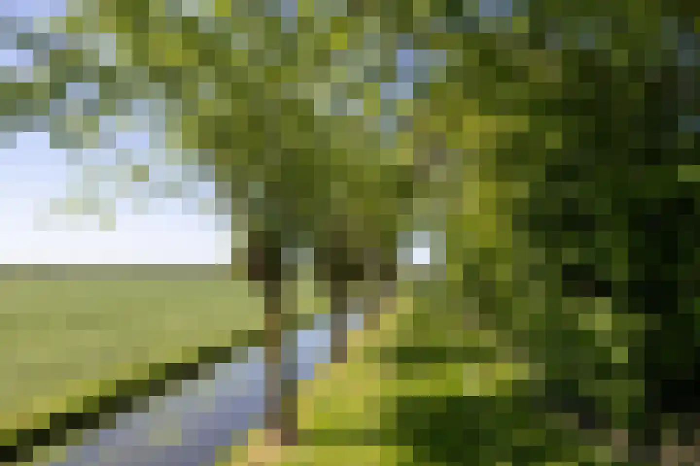 Aetsveldseweg 3 b Weesp thumbnail 51