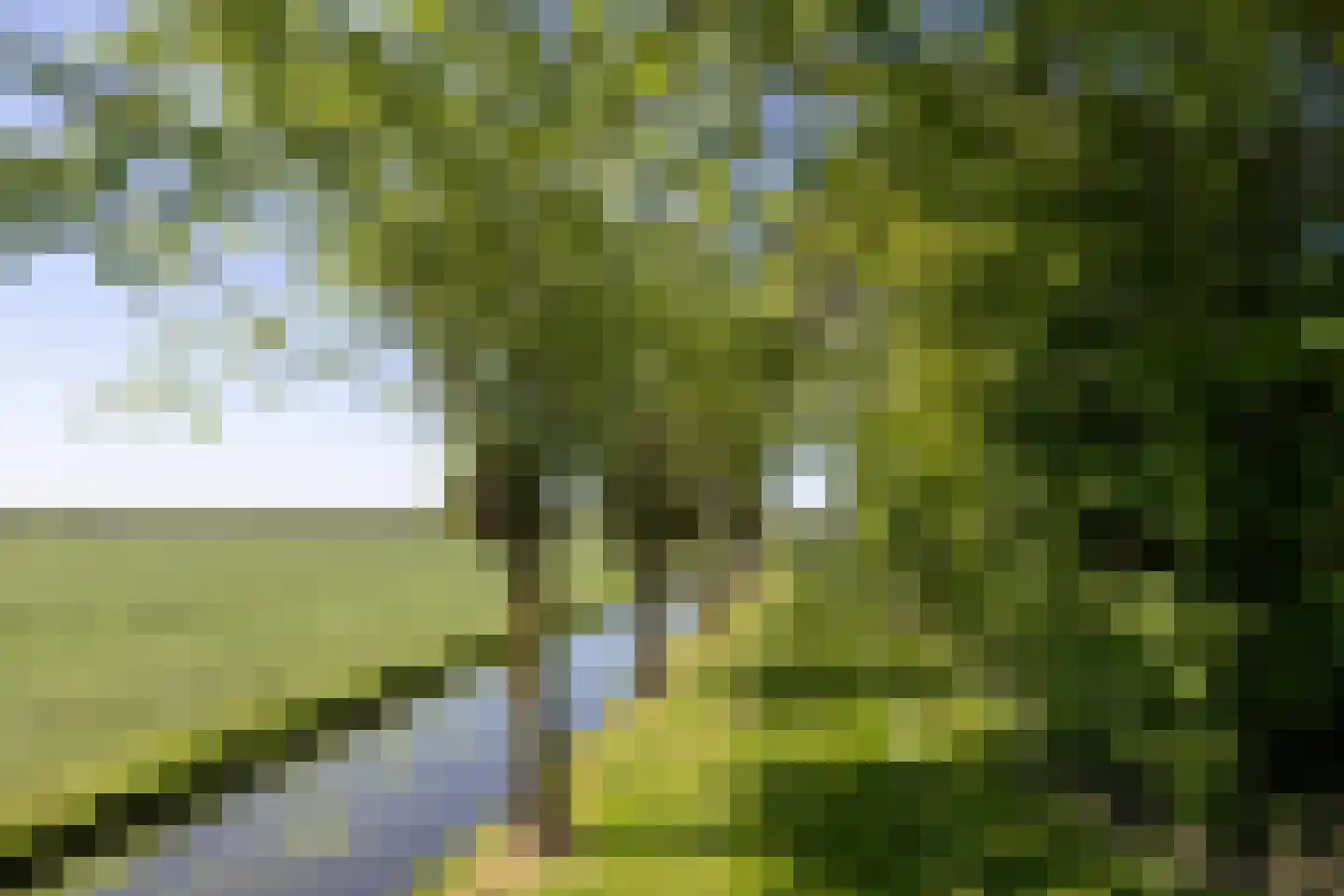 Aetsveldseweg 3 b Weesp thumbnail 51
