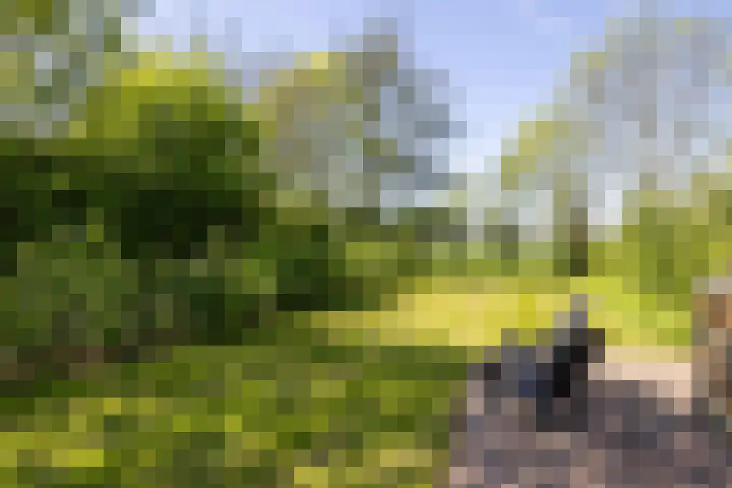 Aetsveldseweg 3 b Weesp thumbnail 53