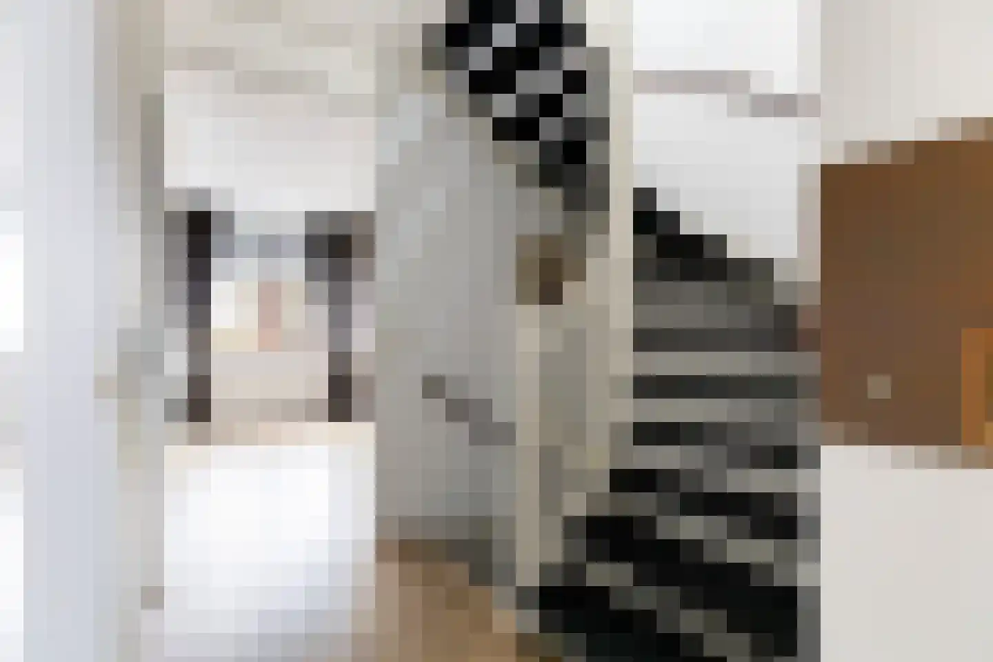 Afbramerij 16 Vaassen thumbnail 15