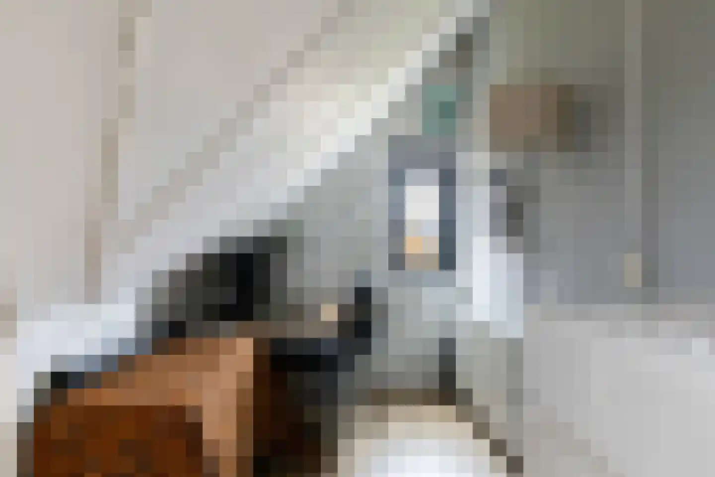 Afbramerij 16 Vaassen thumbnail 26