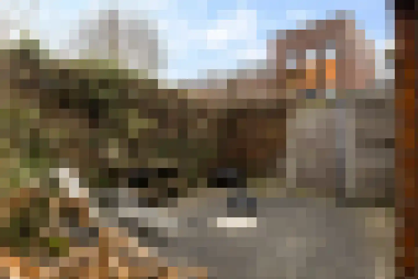 Afbramerij 16 Vaassen thumbnail 29