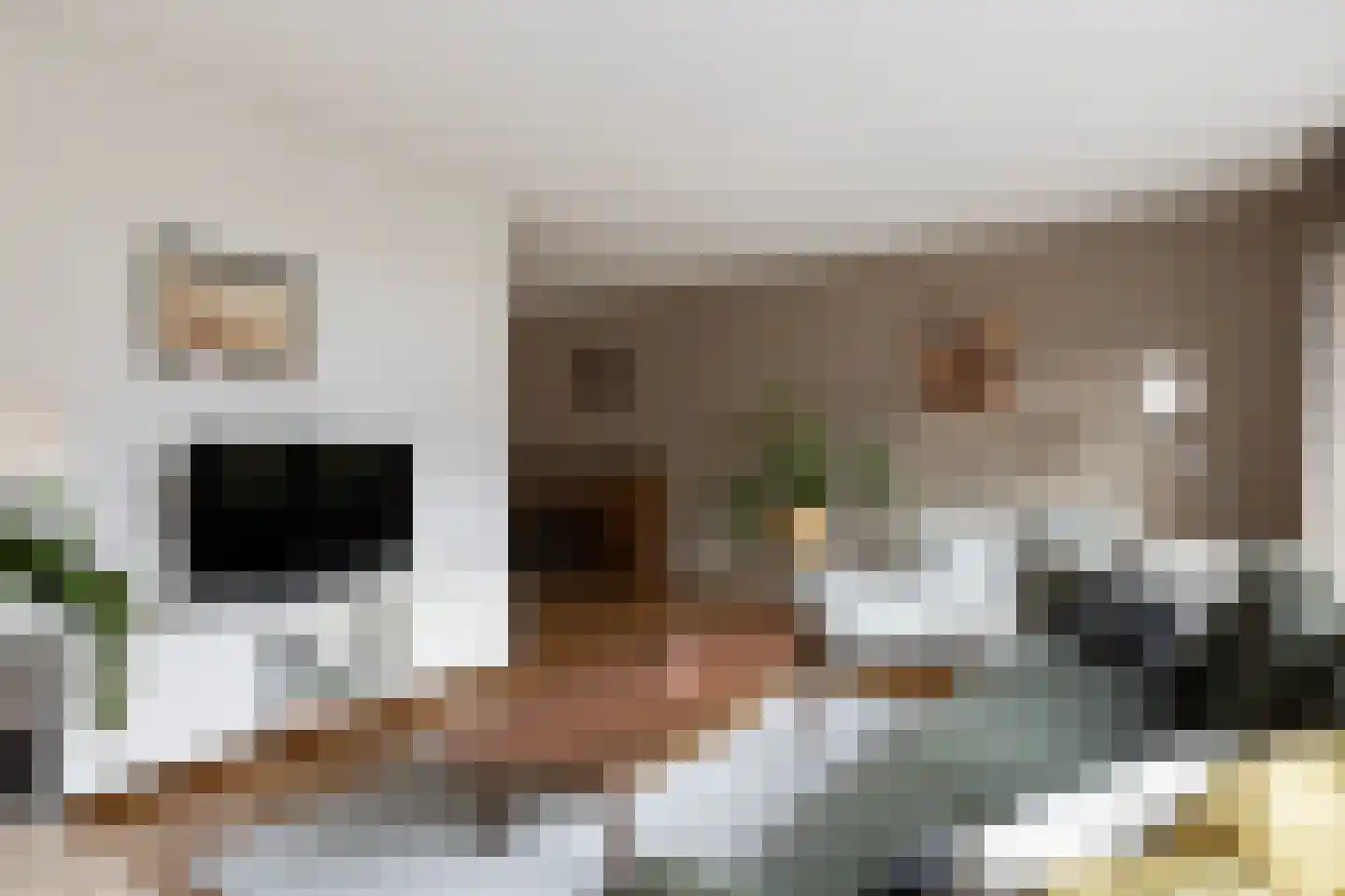 Afbramerij 16 Vaassen thumbnail 8