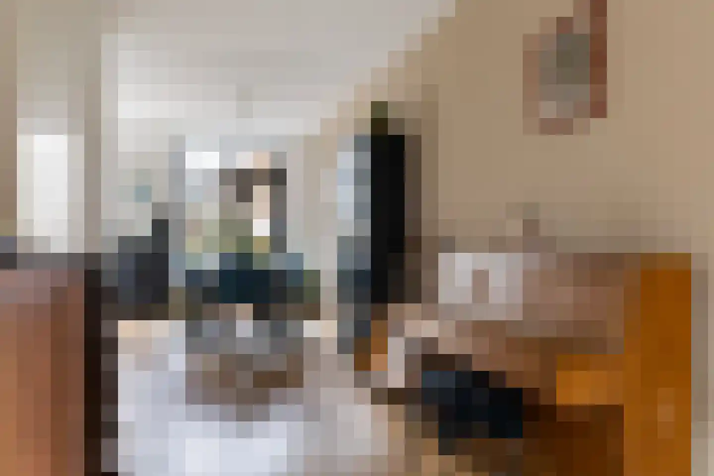 Afbramerij 16 Vaassen thumbnail 9