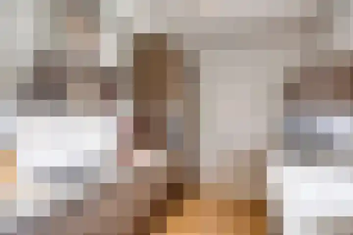 Afbramerij 36 Vaassen thumbnail 11