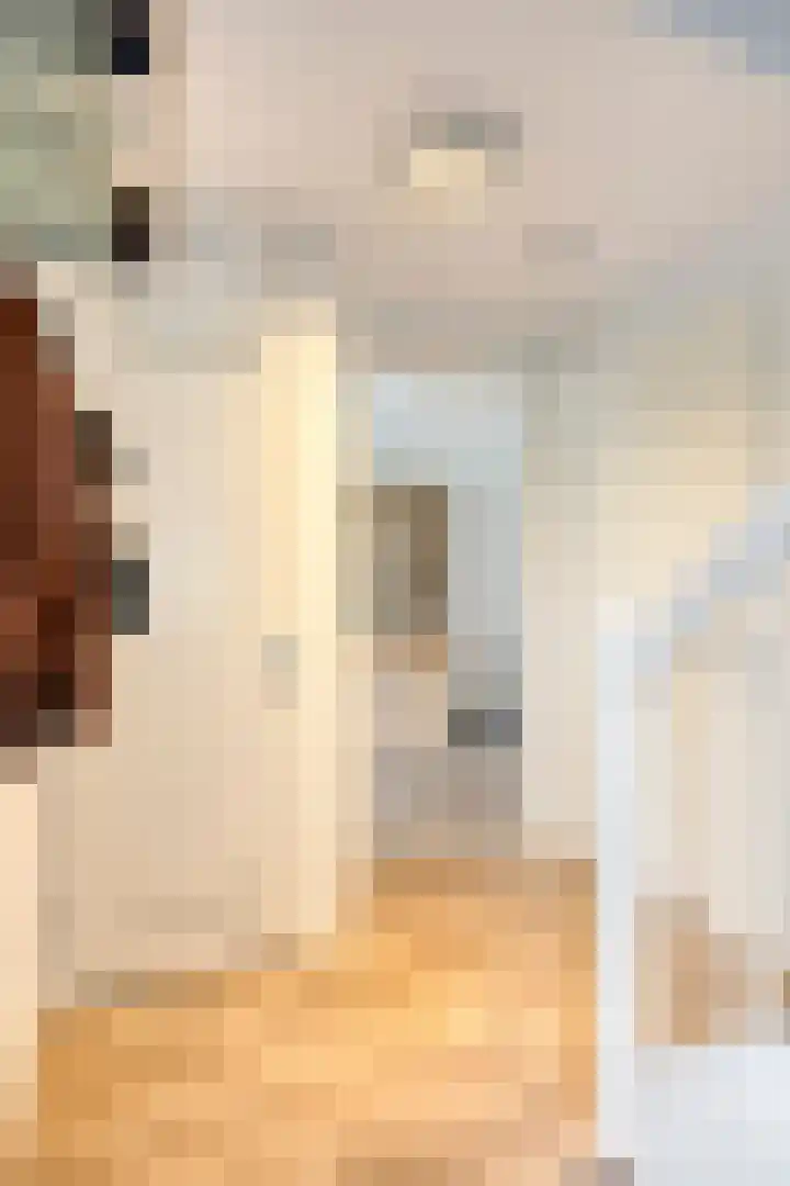 Afbramerij 36 Vaassen thumbnail 12
