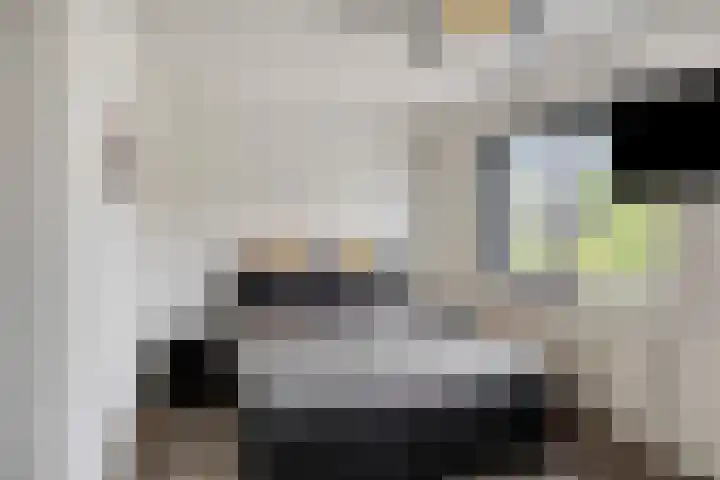 Afbramerij 36 Vaassen thumbnail 16