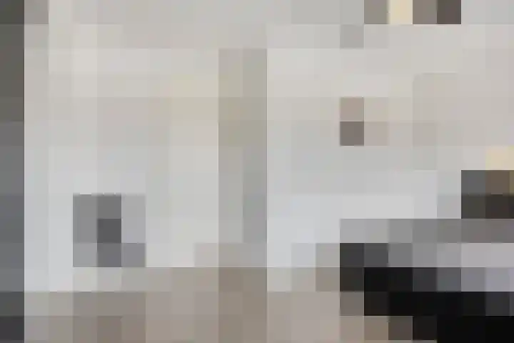 Afbramerij 36 Vaassen thumbnail 17