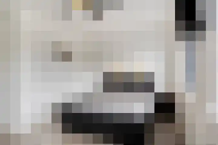 Afbramerij 36 Vaassen thumbnail 18