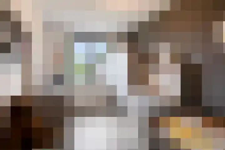 Afbramerij 36 Vaassen thumbnail 22