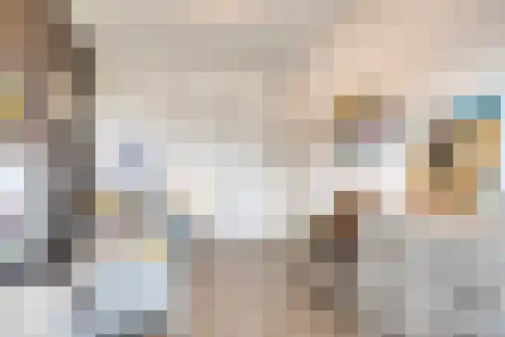Afbramerij 36 Vaassen thumbnail 23