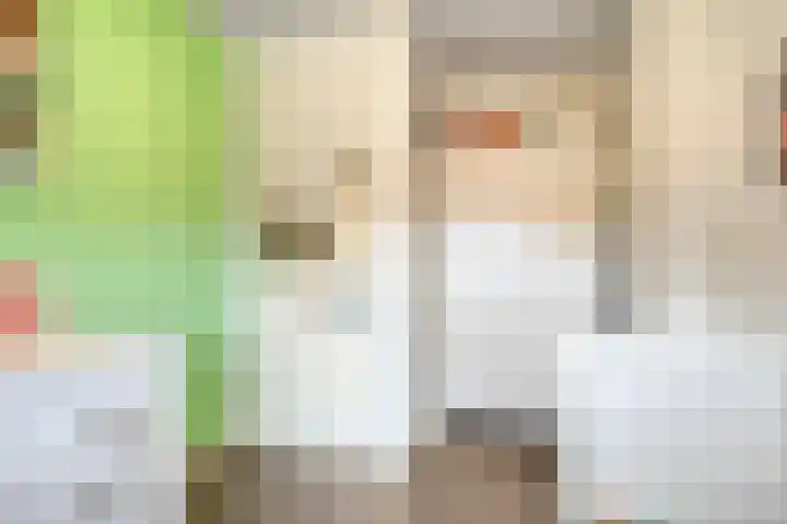 Afbramerij 36 Vaassen thumbnail 25