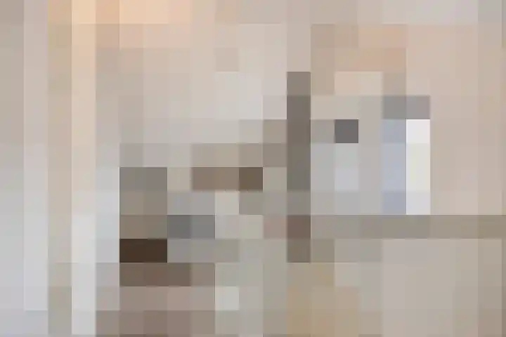Afbramerij 36 Vaassen thumbnail 27