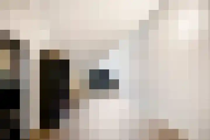 Afbramerij 36 Vaassen thumbnail 28