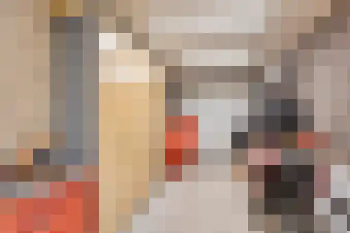 Afbramerij 36 Vaassen thumbnail 30