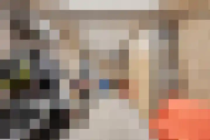 Afbramerij 36 Vaassen thumbnail 31