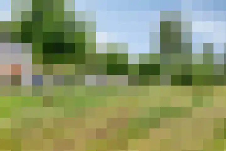 Afbramerij 36 Vaassen thumbnail 36