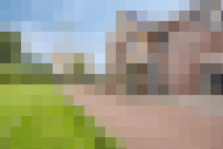 Afbramerij 36 Vaassen thumbnail 37