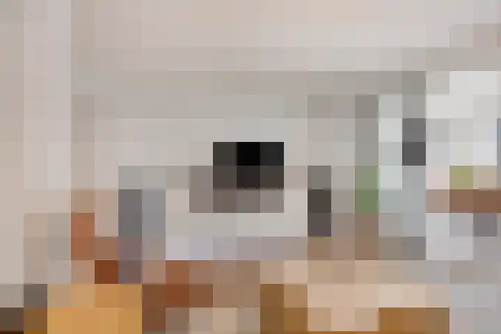 Afbramerij 36 Vaassen thumbnail 4