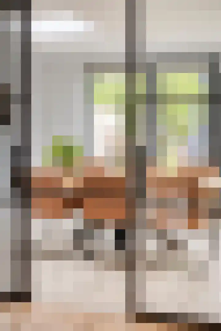 Afbramerij 36 Vaassen thumbnail 6