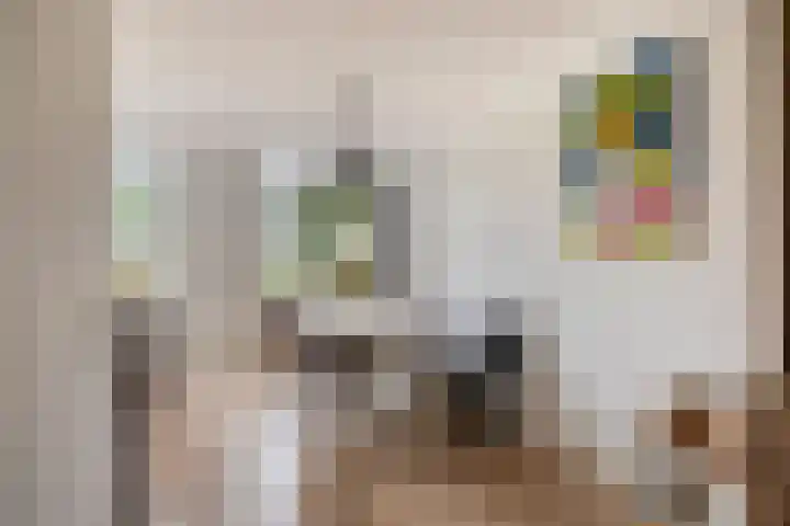 Afbramerij 36 Vaassen thumbnail 9