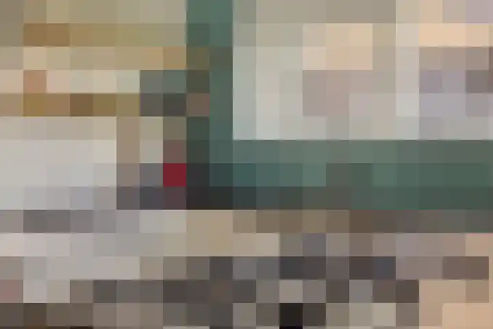 Afbramerij 4 Vaassen thumbnail 10