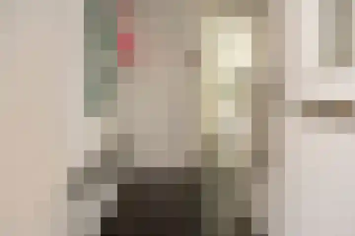 Afbramerij 4 Vaassen thumbnail 11