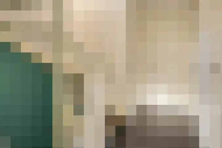 Afbramerij 4 Vaassen thumbnail 13