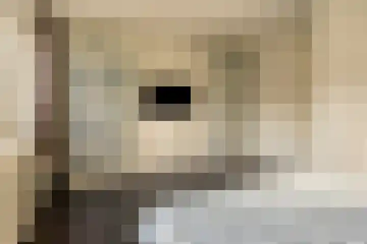 Afbramerij 4 Vaassen thumbnail 15