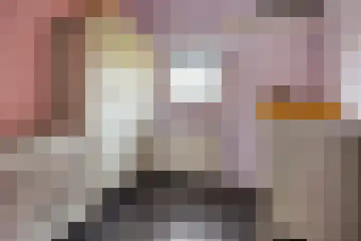 Afbramerij 4 Vaassen thumbnail 19