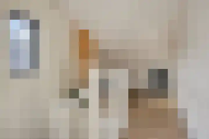 Afbramerij 4 Vaassen thumbnail 21