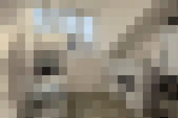 Afbramerij 4 Vaassen thumbnail 22