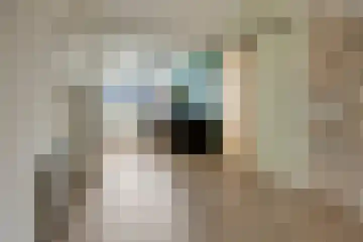 Afbramerij 4 Vaassen thumbnail 23