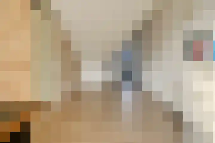 Afbramerij 4 Vaassen thumbnail 24