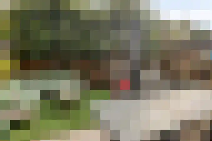 Afbramerij 4 Vaassen thumbnail 25