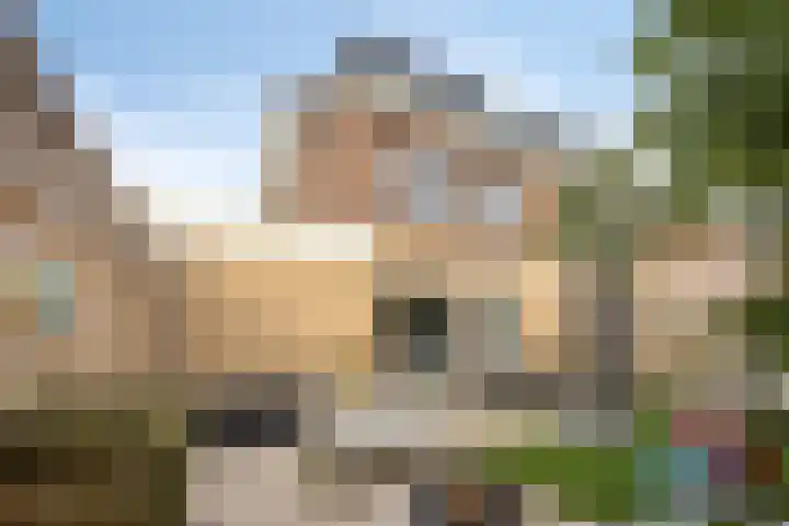 Afbramerij 4 Vaassen thumbnail 27