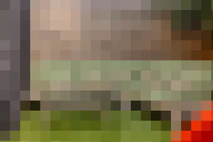 Afbramerij 4 Vaassen thumbnail 28