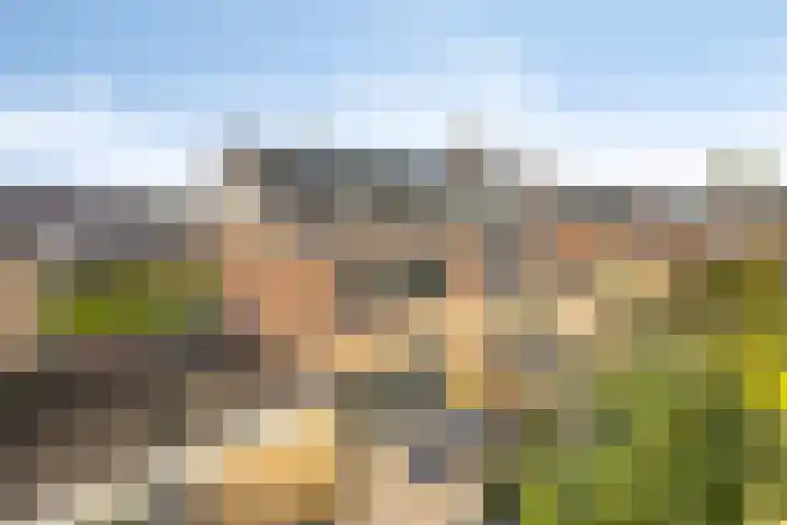 Afbramerij 4 Vaassen thumbnail 29