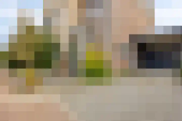 Afbramerij 4 Vaassen thumbnail 31