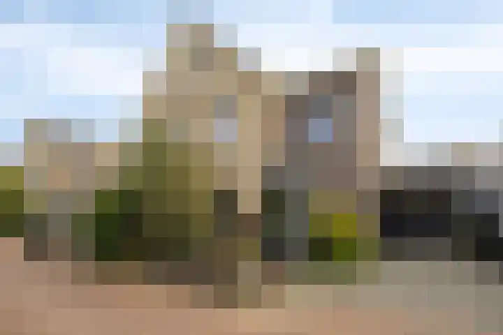 Afbramerij 4 Vaassen thumbnail 32