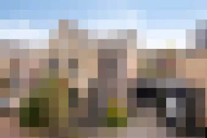 Afbramerij 4 Vaassen thumbnail 33