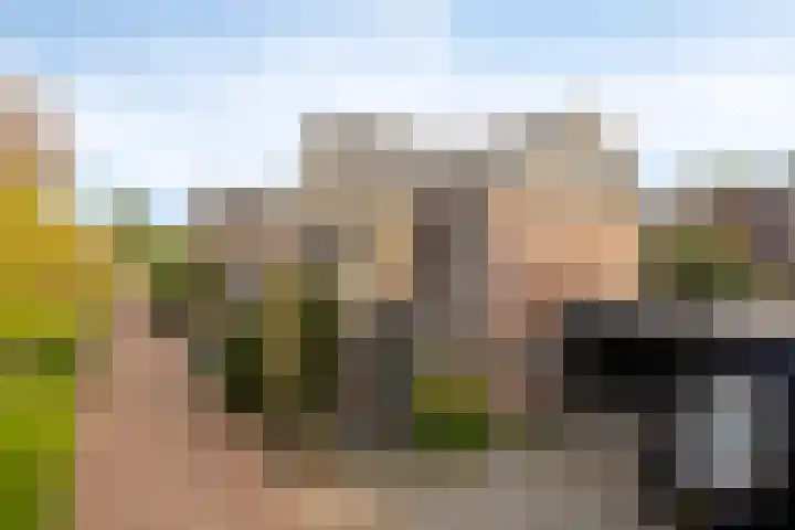 Afbramerij 4 Vaassen thumbnail 34