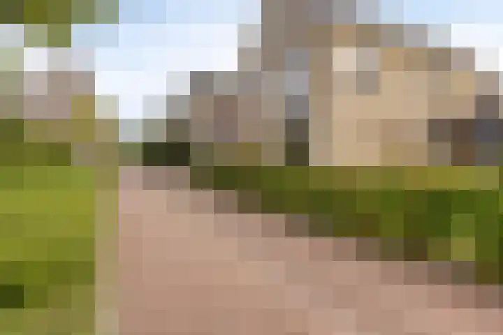 Afbramerij 4 Vaassen thumbnail 35