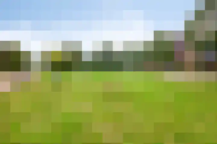 Afbramerij 4 Vaassen thumbnail 37